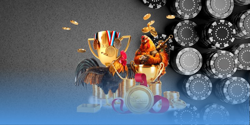 Đá gà tre tốc độ di chuyển nhanh