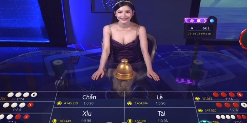 Giấy phép hoạt động VN88 chứng minh sự minh bạch